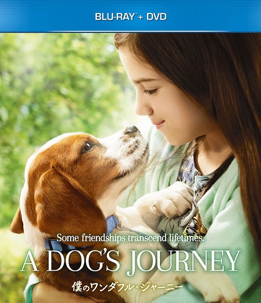 犬と人間の感動の転生ストーリー第2弾 映画 僕のワンダフル ジャーニー Blu Ray Dvdが3月4日発売 Tower Records Online