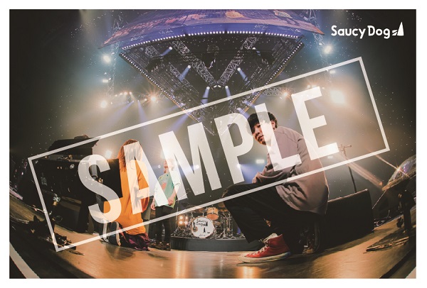 Saucy Dog｜ニューミニアルバムとライブBlu-ray&DVD『「send for you 