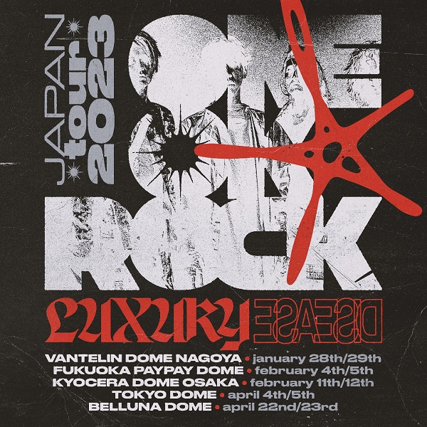 ONEOKROCK LUXURY DISEASE JAPAN TOUR パーカー - パーカー