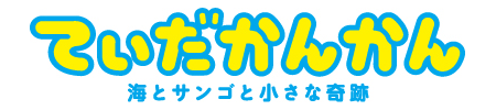 てぃだかんかん