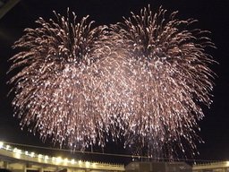 R0011204_2 R0011204_2