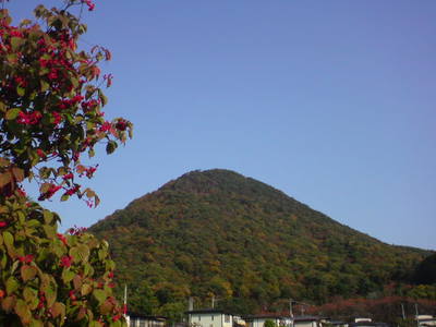 20091031143517 20091031143517