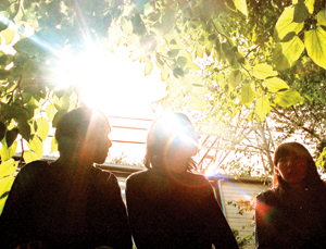 Lamp - TOWER RECORDS ONLINE